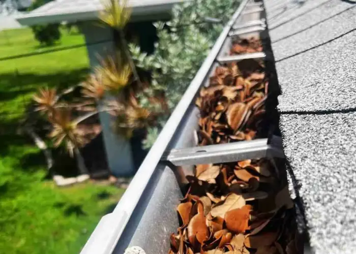 Cascade Township gutter cleaning home page